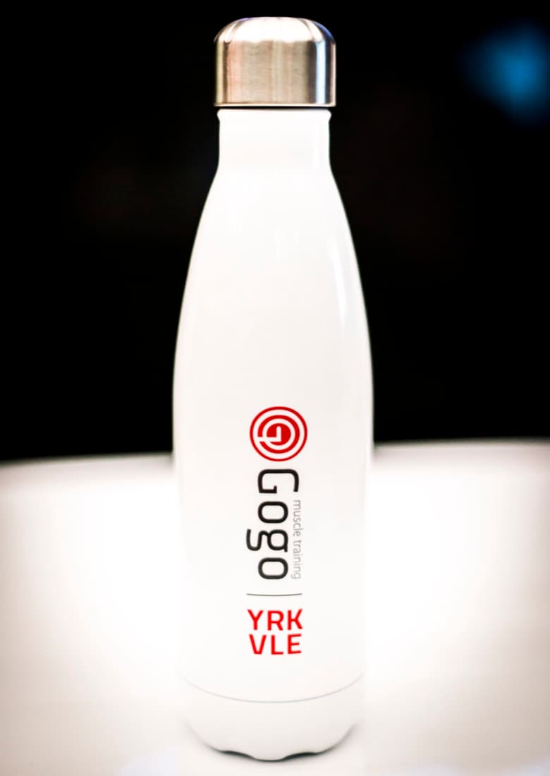 GoGo S'well Bottle (17 oz)